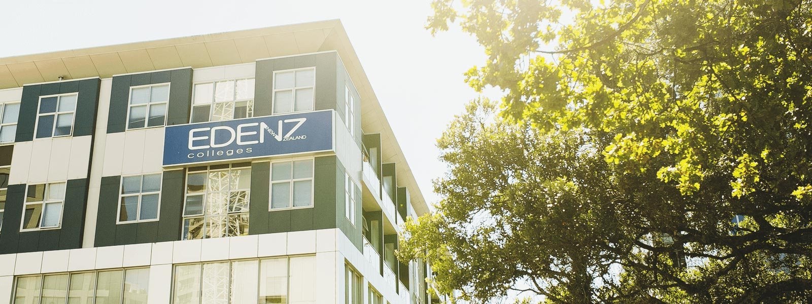 Du học Y tại New Zealand – Nghề “hot” thu nhập cao